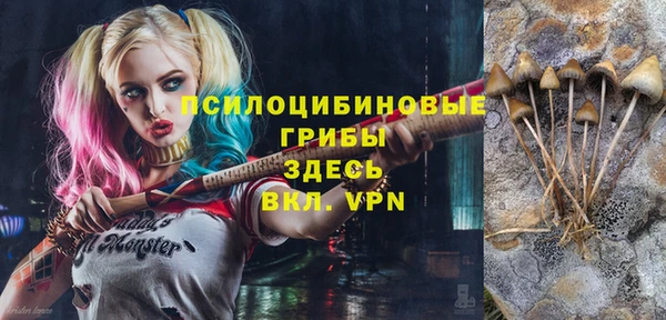 спиды Медвежьегорск