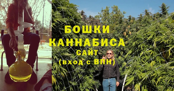 прущие крисы Михайлов
