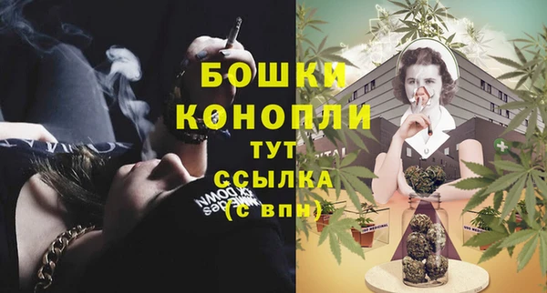 спайс Вяземский