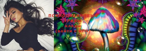 прущие крисы Михайлов