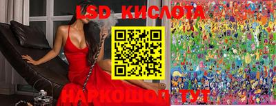 индика Заводоуковск