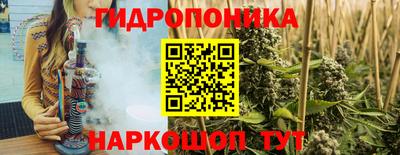 индика Заводоуковск
