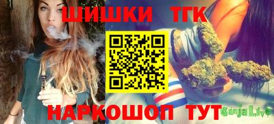 индика Заводоуковск