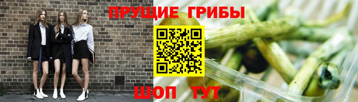 Новоуральск  Галлюциногенные грибы GOLDEN TEACHER  закладки  Вход с VPN 