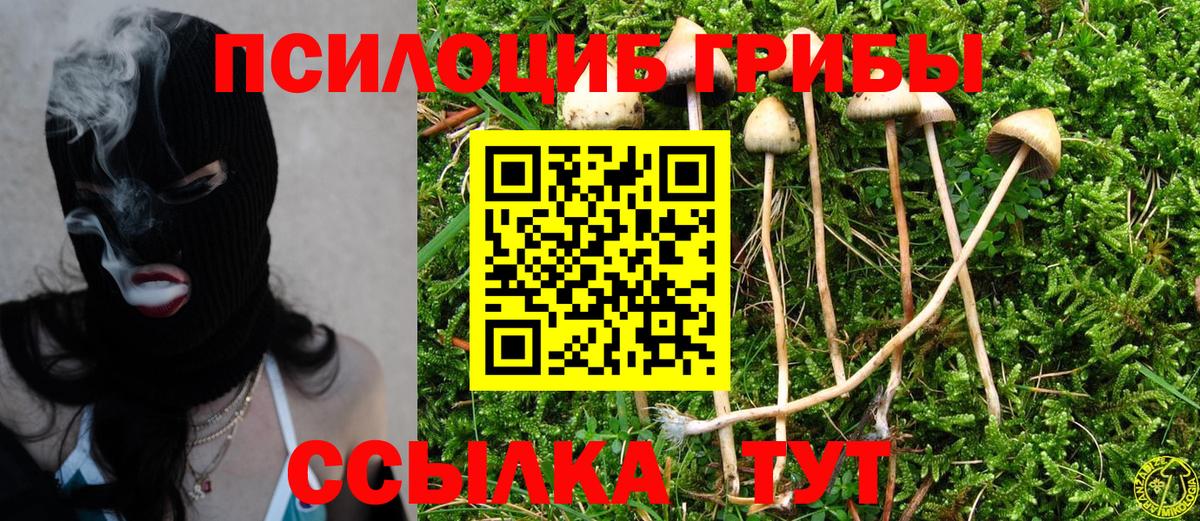 Галлюциногенные грибы мицелий Новоуральск